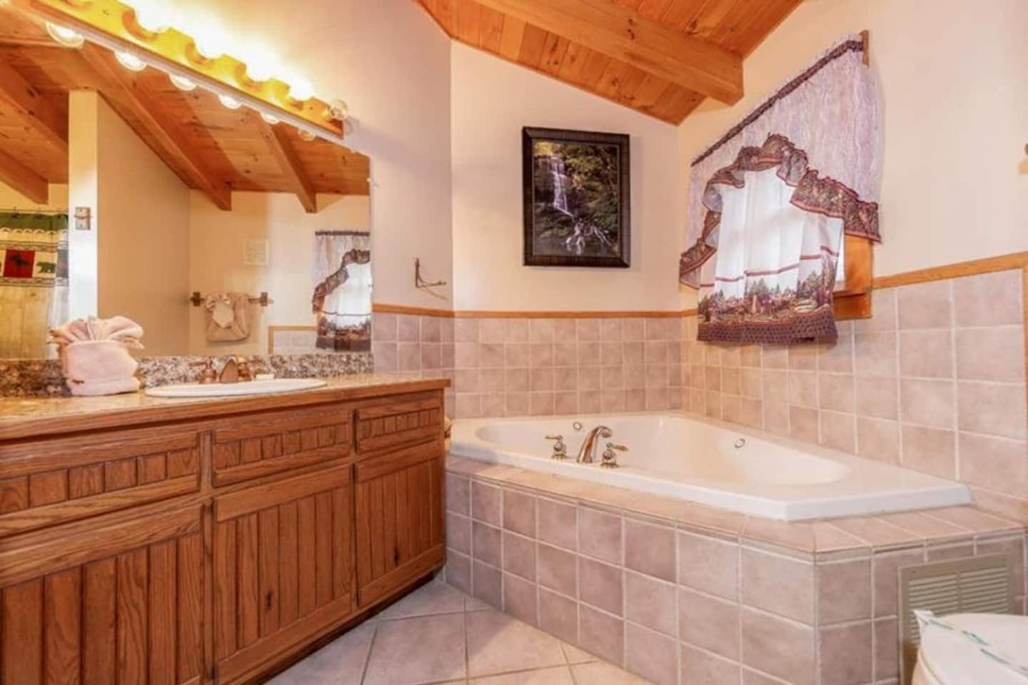 Pigeonforge Cabin Game Roomdog Friendlyhot Tub Пиджен-Фордж Экстерьер фото