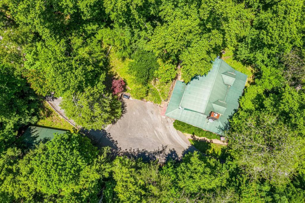 Pigeonforge Cabin Game Roomdog Friendlyhot Tub Пиджен-Фордж Экстерьер фото